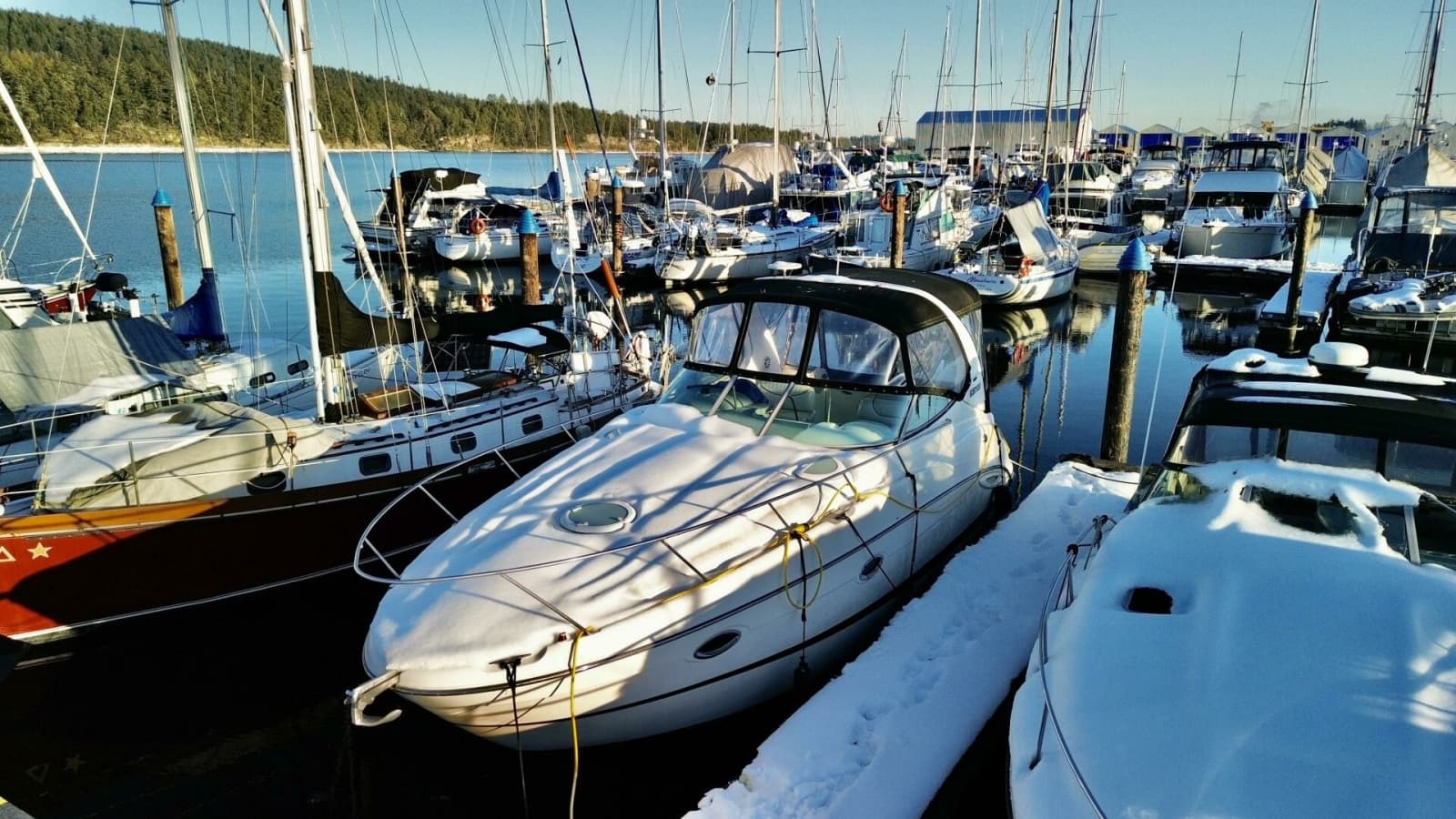 2006 Maxum 3100 SE - Photo 3