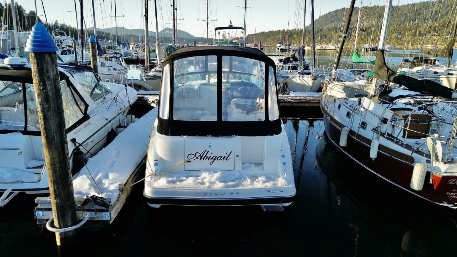 2006 Maxum 3100 SE - Photo 4