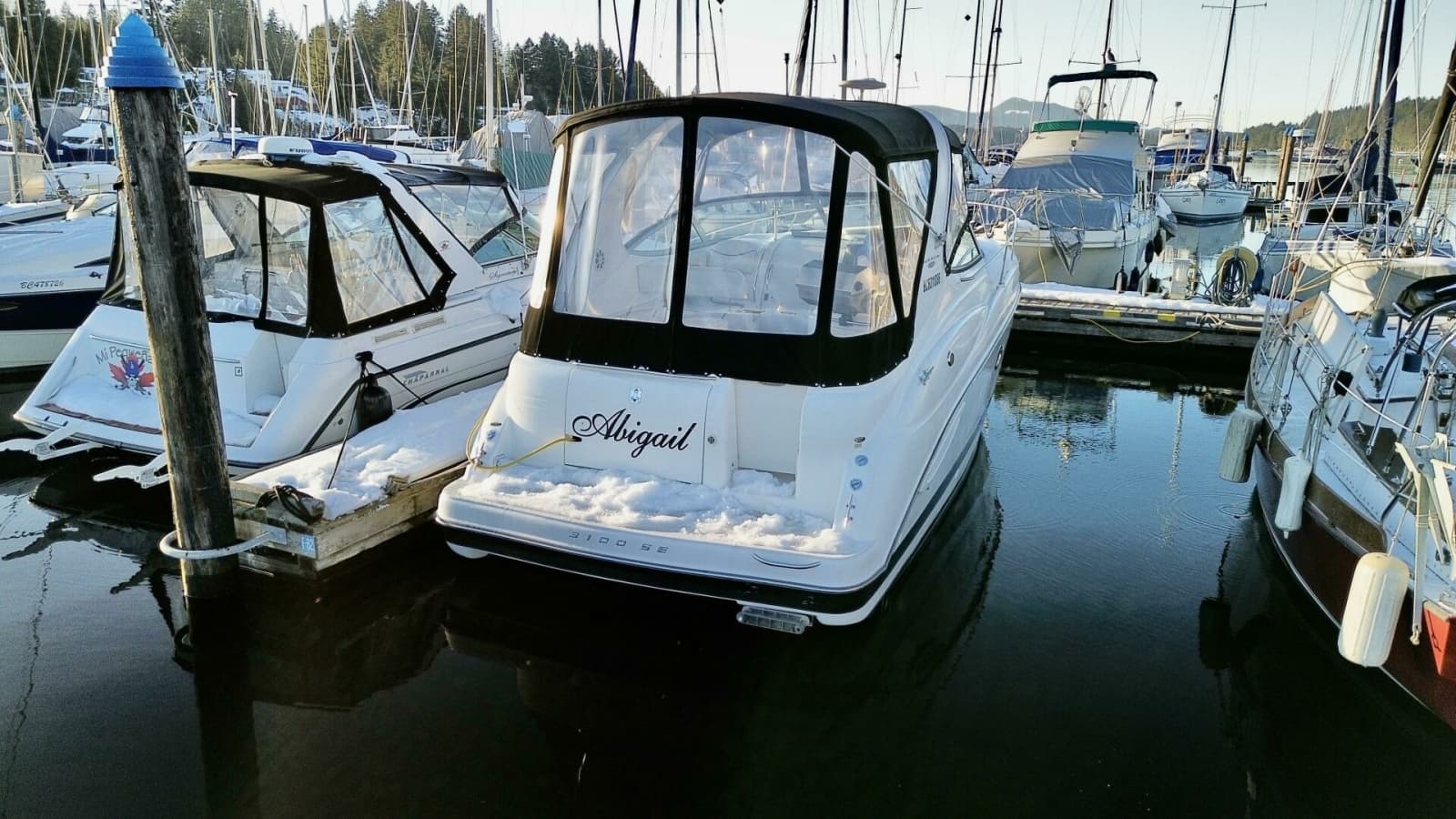 2006 Maxum 3100 SE - Photo 5
