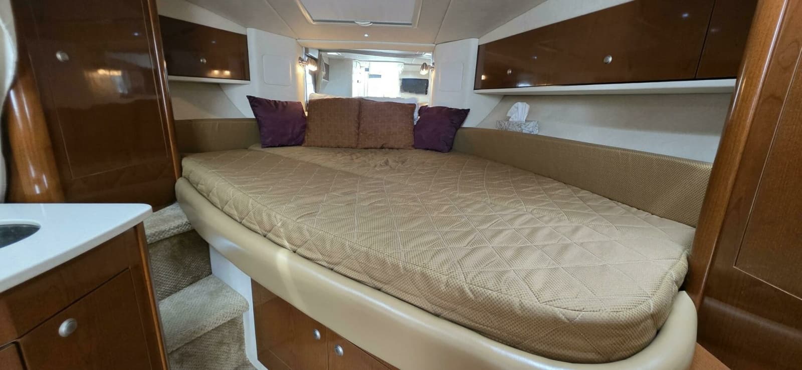 2009 Sea Ray 310 Sundancer - Photo 26