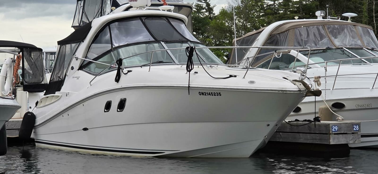 2009 Sea Ray 310 Sundancer - Photo 1