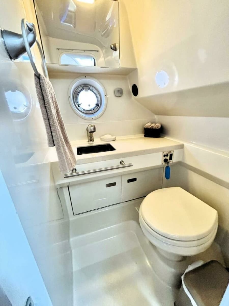 2010 Sea Ray 310 SUNDANCER - Photo 43