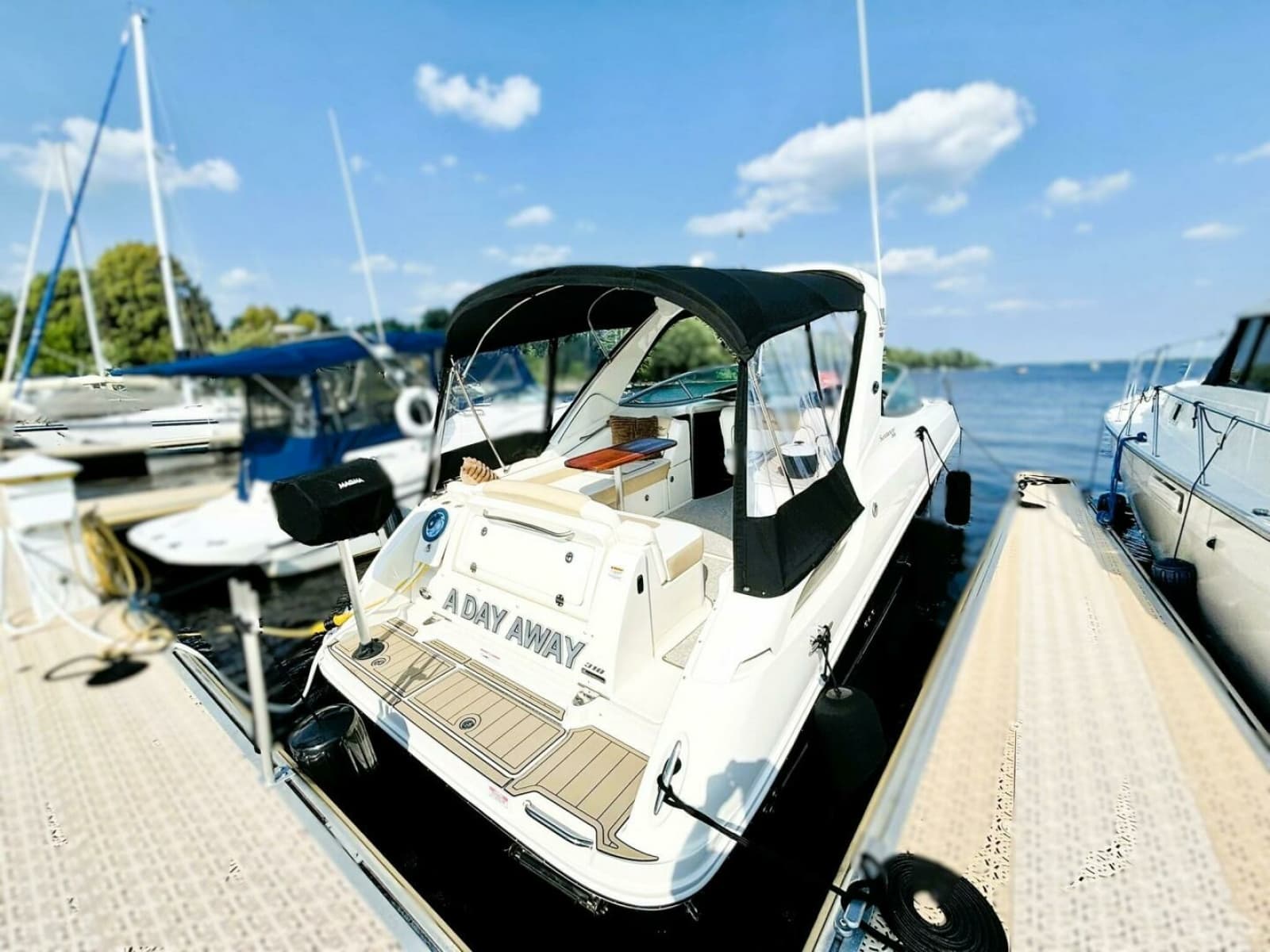 2010 Sea Ray 310 SUNDANCER - Photo 1