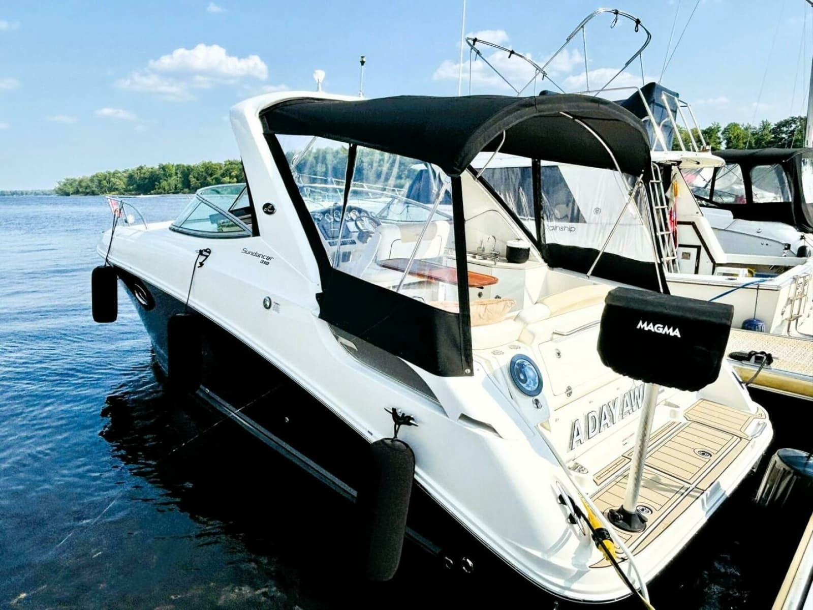 2010 Sea Ray 310 SUNDANCER - Photo 4