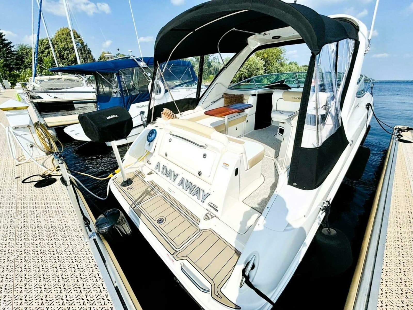 2010 Sea Ray 310 SUNDANCER - Photo 6