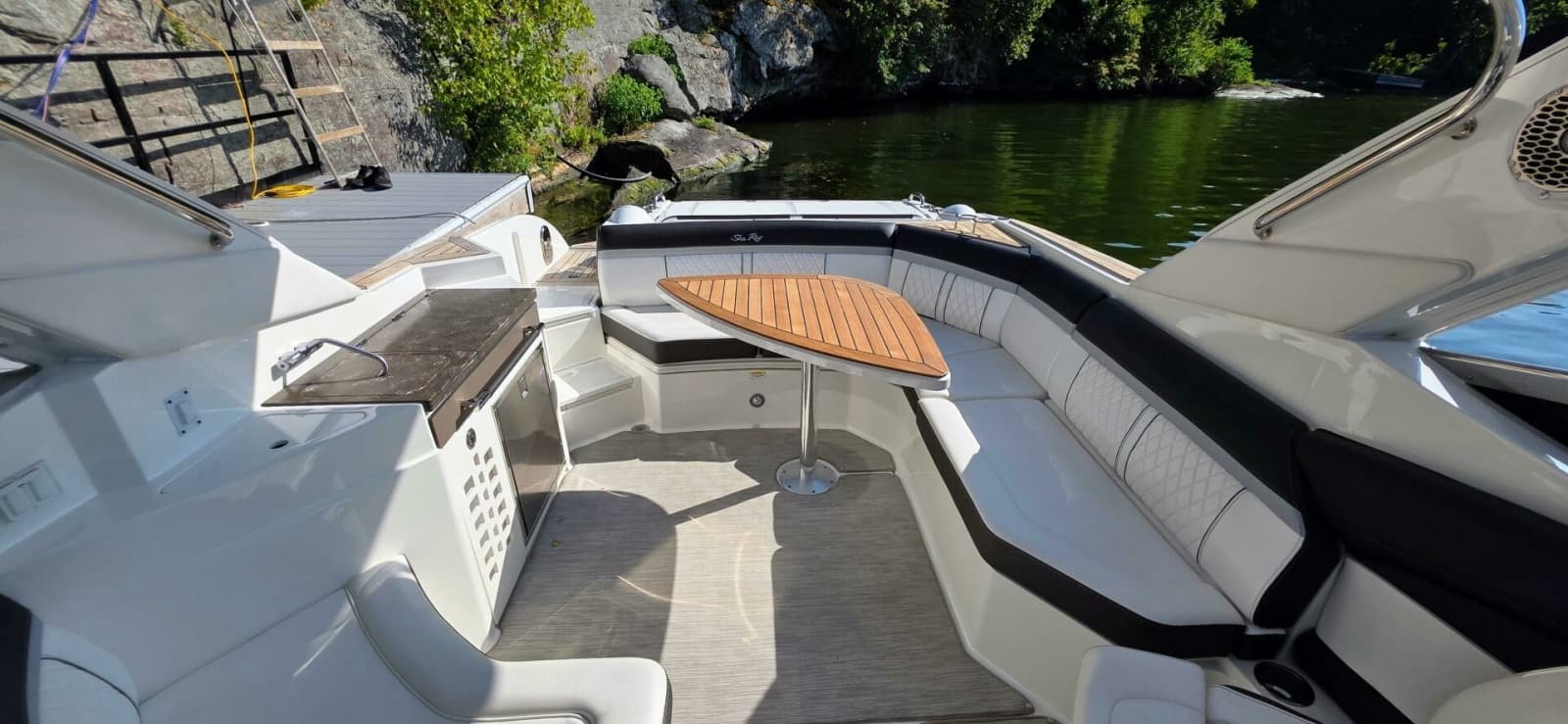 2019 Sea Ray 350 SLX - Photo 14