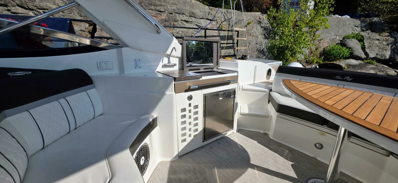 2019 Sea Ray 350 SLX - Photo 15