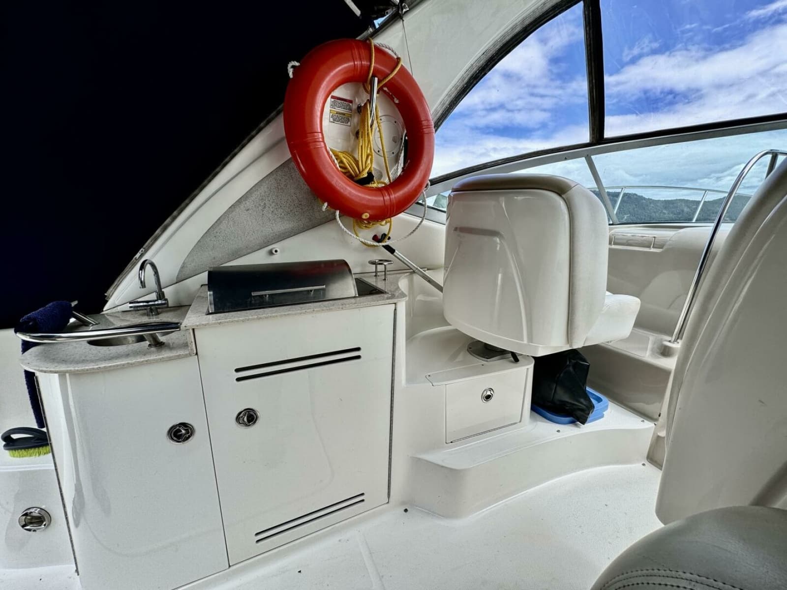 2008 Sea Ray 330 Sundancer - Photo 18