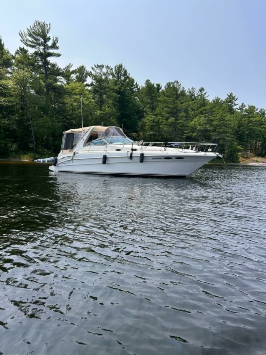 2001 Sea Ray 340 Sundancer - Photo 2