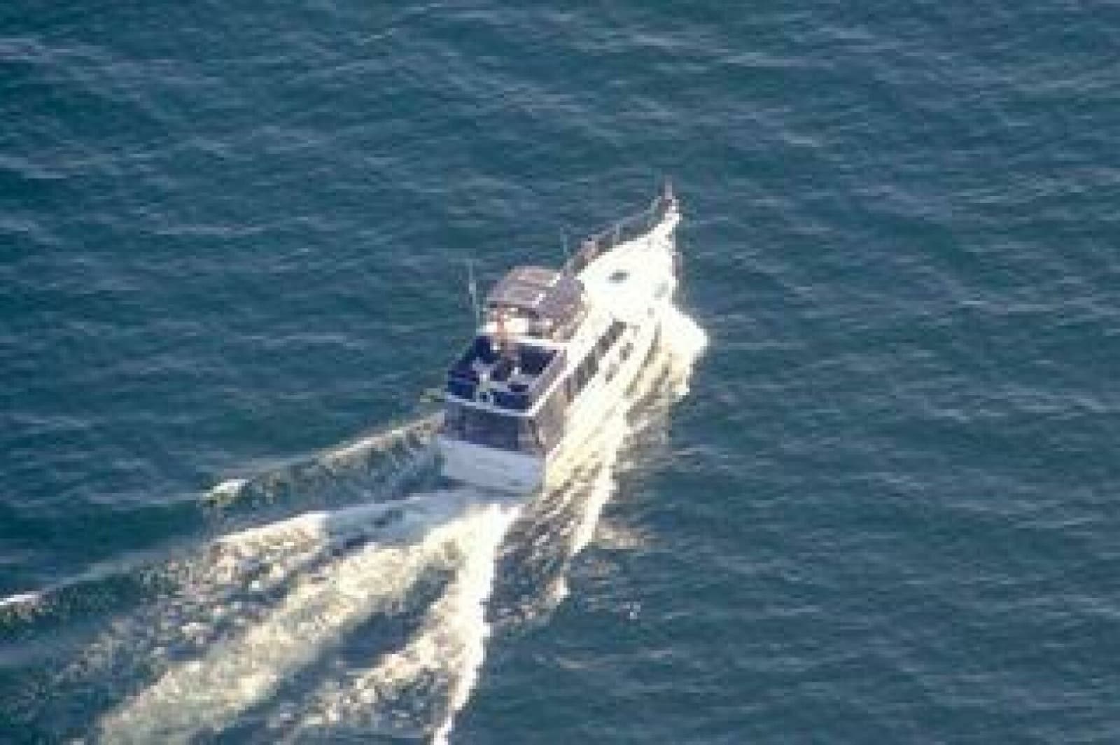 1986 Bayliner 3270 - Photo 4
