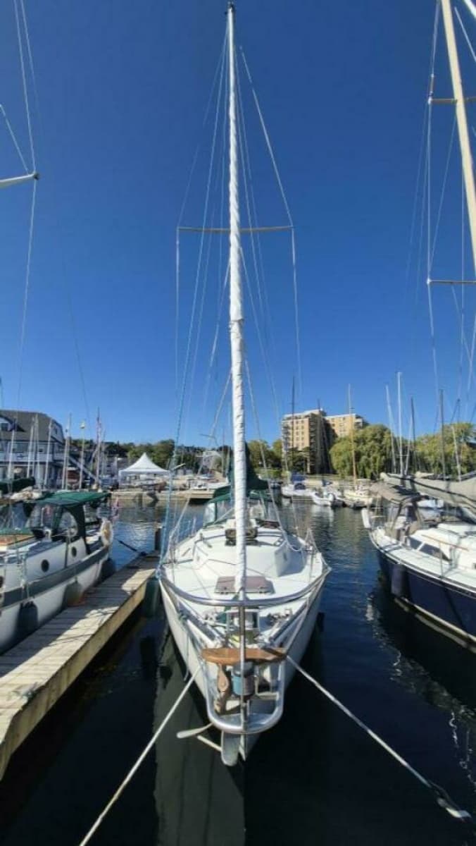 1981 Niagara 35 Classic - Photo 4