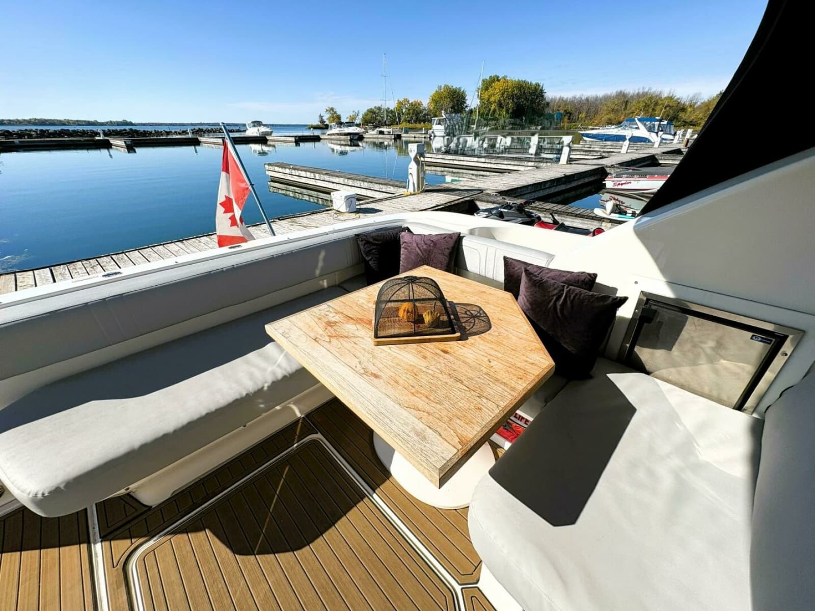 2008 Sea Ray 47 SEDAN BRIDGE - Photo 13