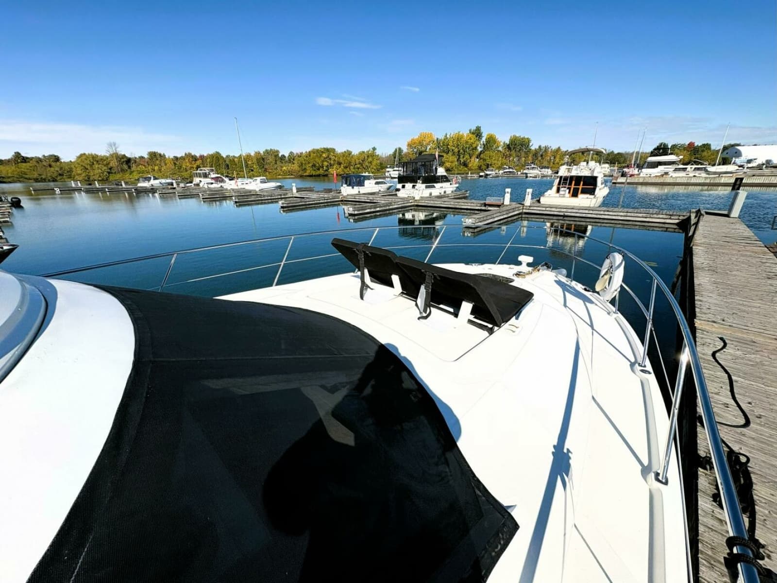 2008 Sea Ray 47 SEDAN BRIDGE - Photo 64