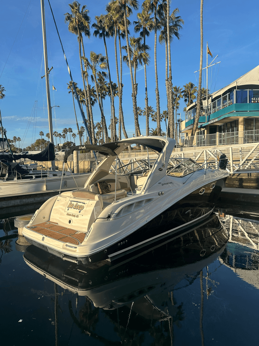 2008 Sea Ray 290 Sundacer - Photo 15