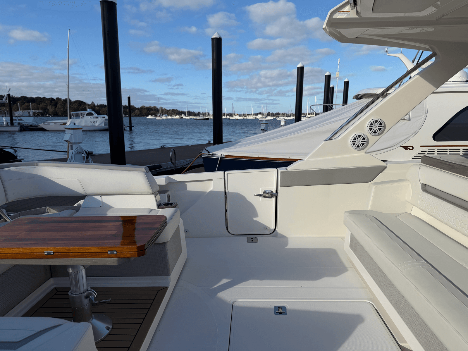 2023 Tiara Yachts 43 LS - Photo 10