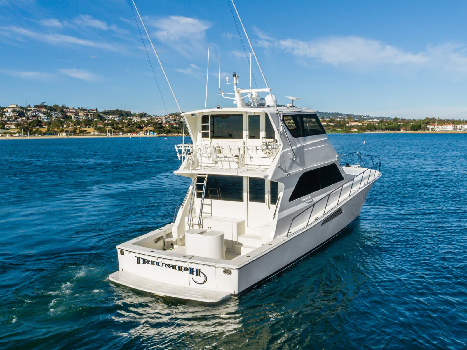 1999 Viking Enclosed Bridge - Photo 37