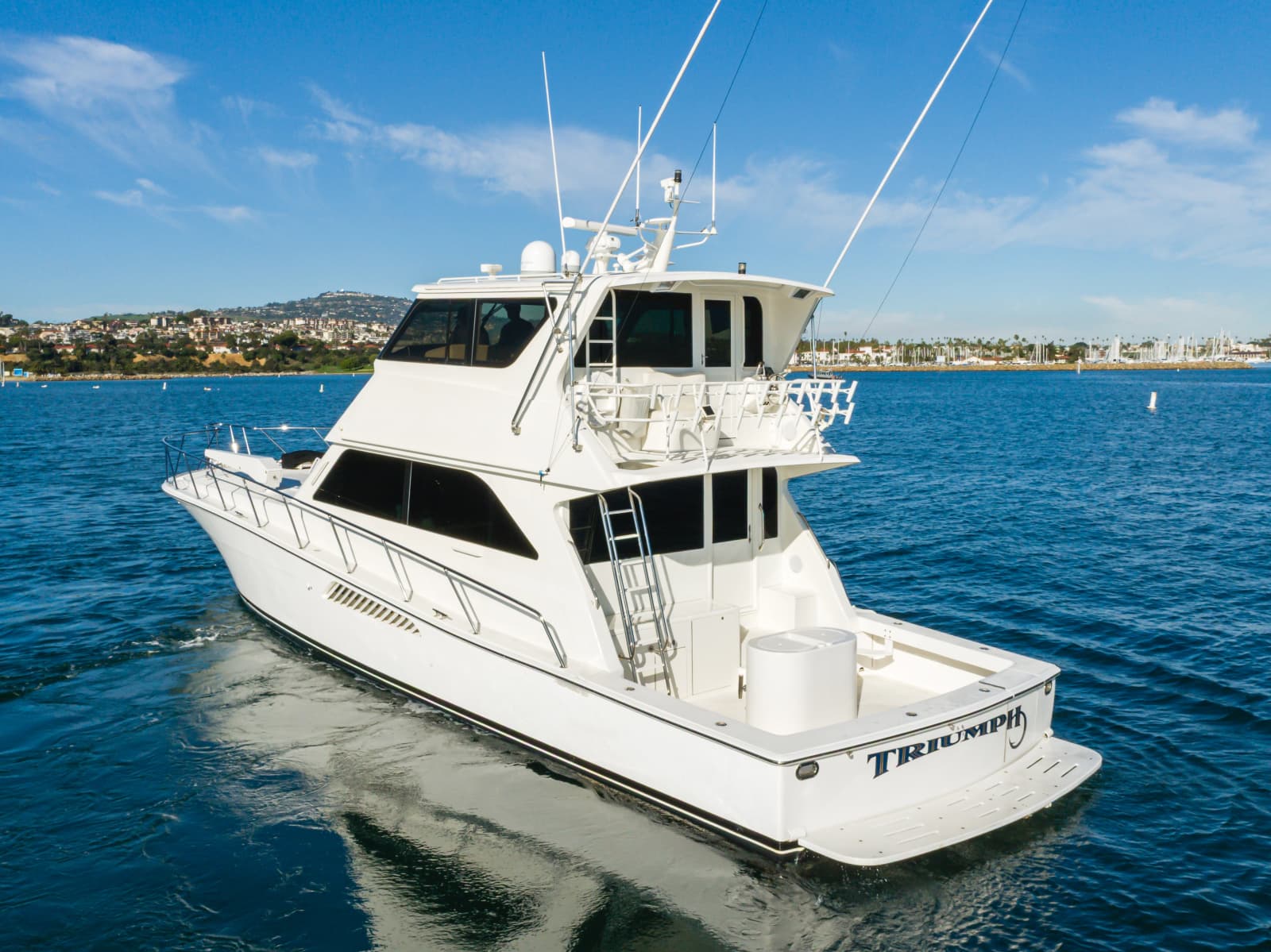 1999 Viking Enclosed Bridge - Photo 3