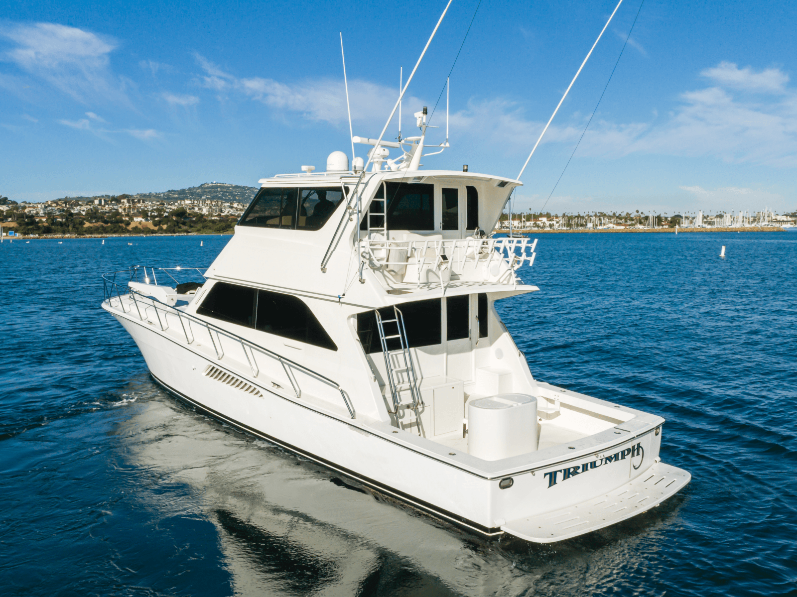 1999 Viking Enclosed Bridge - Photo 3