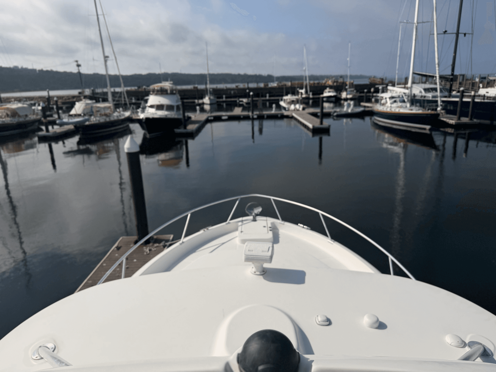 2010 Luhrs 37 OB Canyon Series - Photo 15